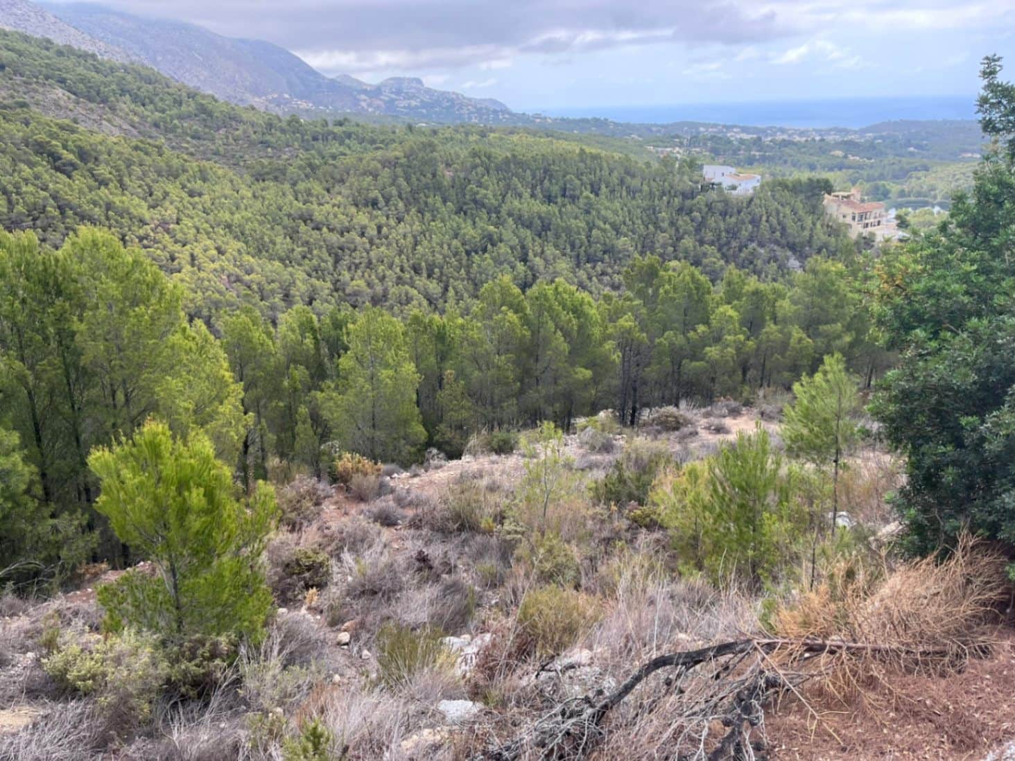 Building Plot for sale in Callosa d'En Sarria - € 850,000 (Ref: 9766752)