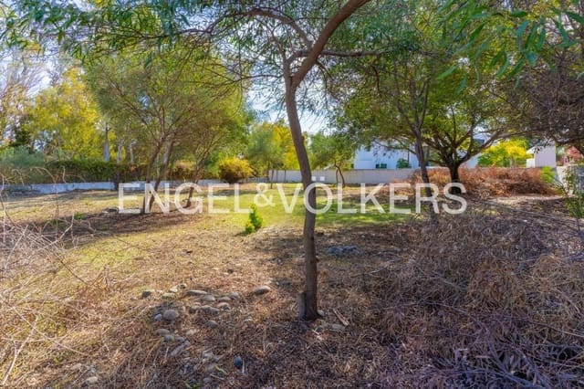 Terre non Aménagée à vendre à Atalaya-Isdabe, Estepona - 1 150 000 € (Ref: 9733503)