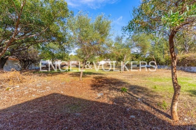 Terre non Aménagée à vendre à Atalaya-Isdabe, Estepona - 1 150 000 € (Ref: 9733503)