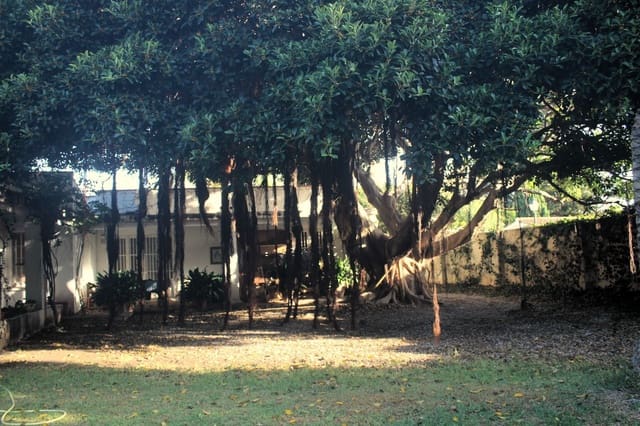 Chalet de 8 habitaciones en Atalaya-Isdabe, Estepona en venta con piscina garaje - 2.100.000 € (Ref: 9733539)