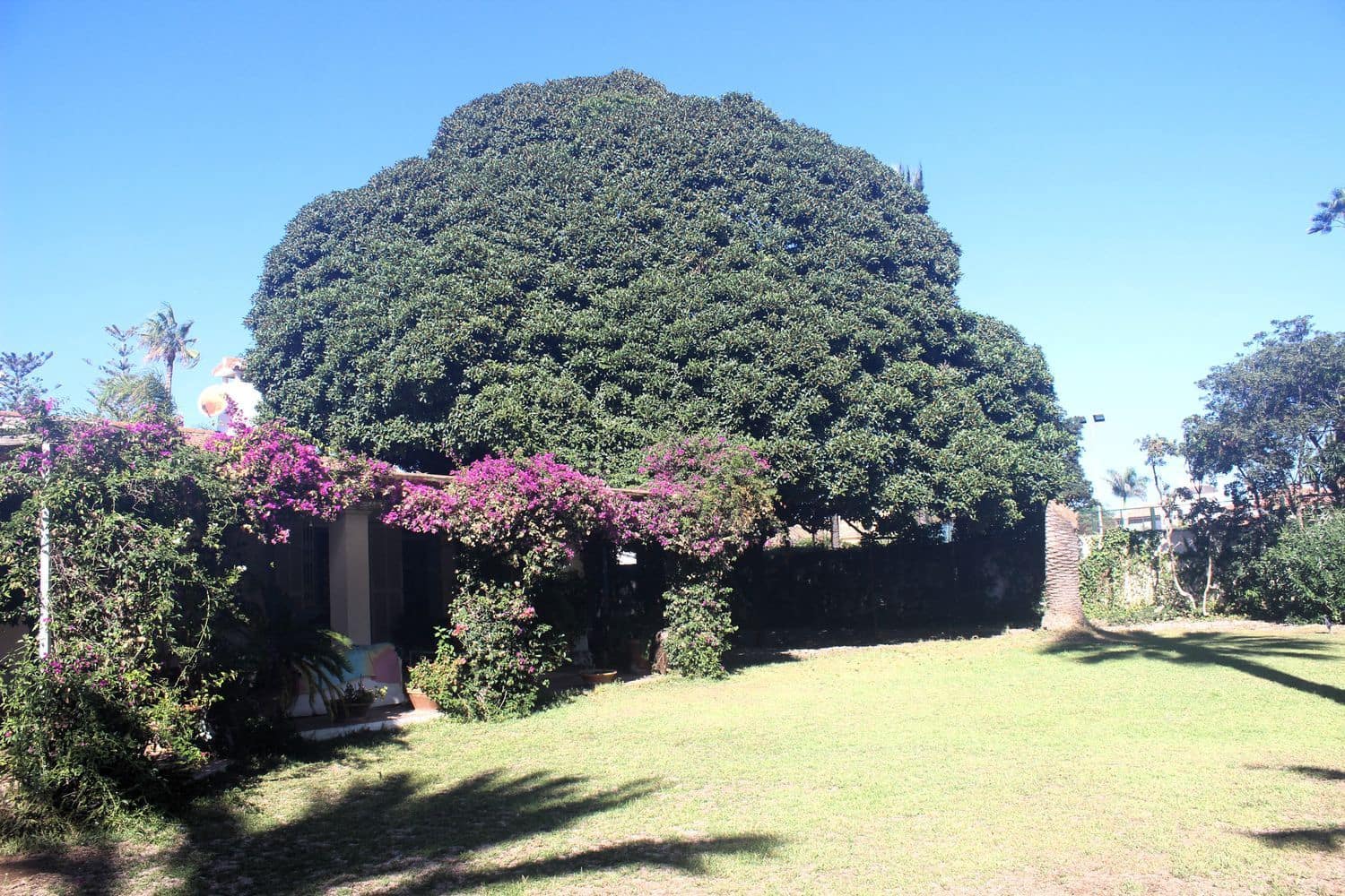 8 bedroom Villa for sale in New Golden Mile with pool garage - € 2,100,000 (Ref: 9733539)