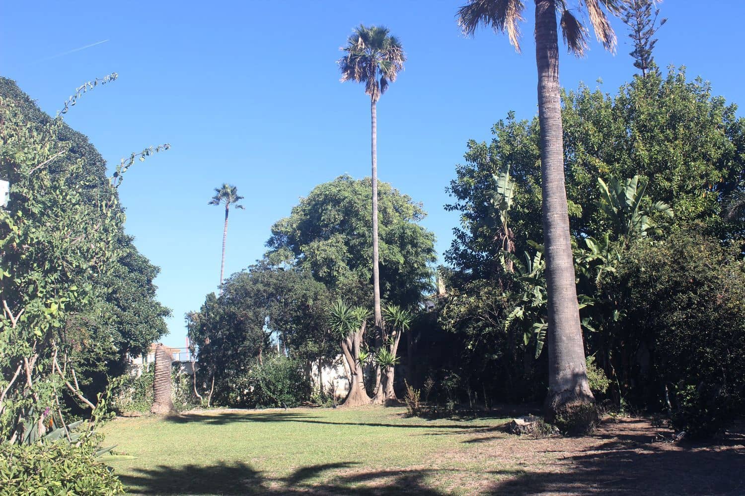 8 bedroom Villa for sale in New Golden Mile with pool garage - € 2,100,000 (Ref: 9733539)