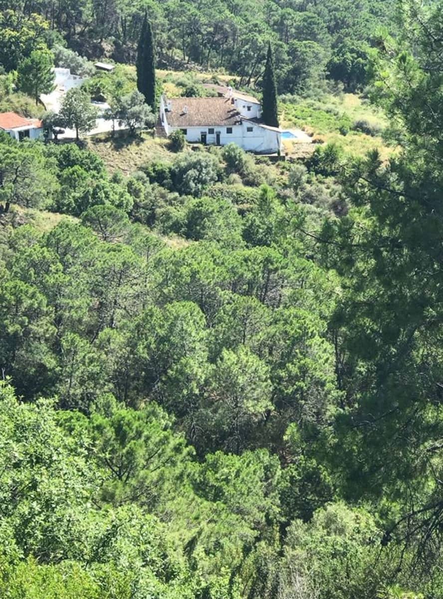 6 bedroom Finca/Country House for sale in Estepona with pool garage - € 8,000,000 (Ref: 9798549)