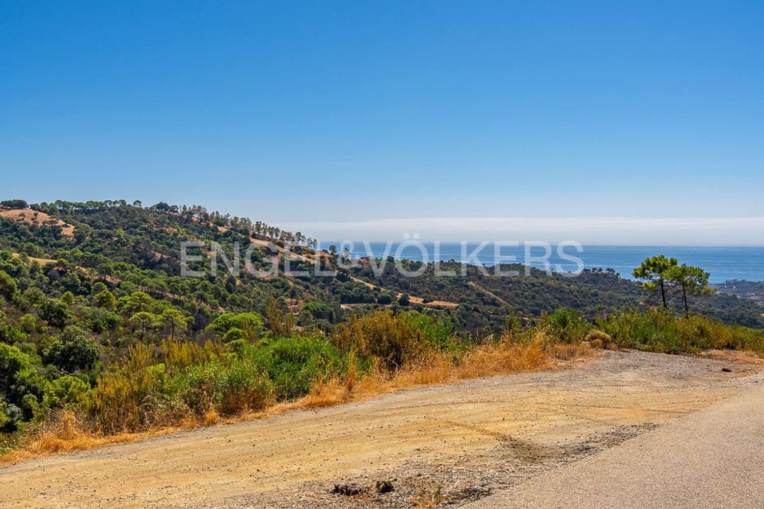 6 bedroom Finca/Country House for sale in Estepona with pool garage - € 8,000,000 (Ref: 9798549)