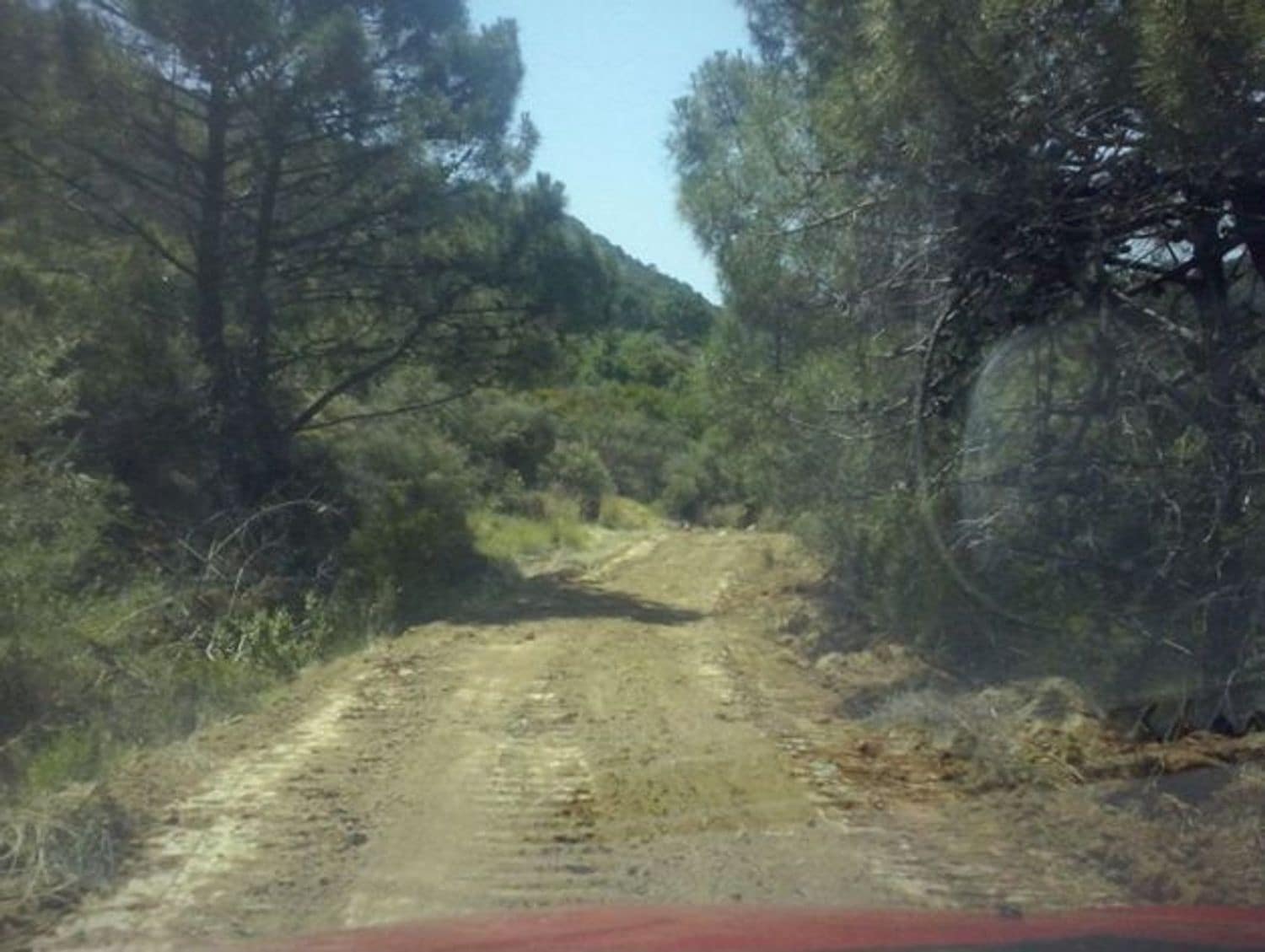 6 bedroom Finca/Country House for sale in Estepona with pool garage - € 8,000,000 (Ref: 9798549)