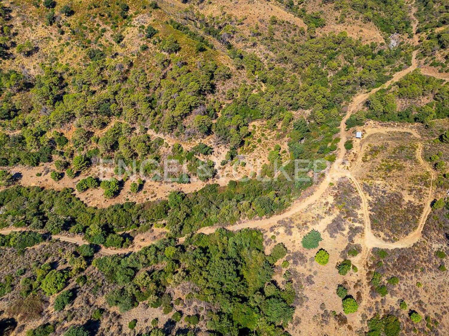 6 bedroom Finca/Country House for sale in Estepona with pool garage - € 8,000,000 (Ref: 9798549)