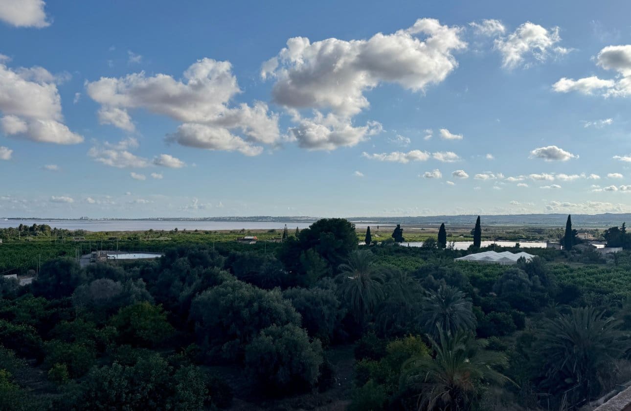 Apartamento de 3 habitaciones en Los Montesinos en venta - 145.000 € (Ref: 10183879)