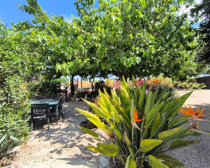 3 soverom Finca/Herregård til salgs i Orihuela med svømmebasseng - € 379 950 (Ref: 8945093)