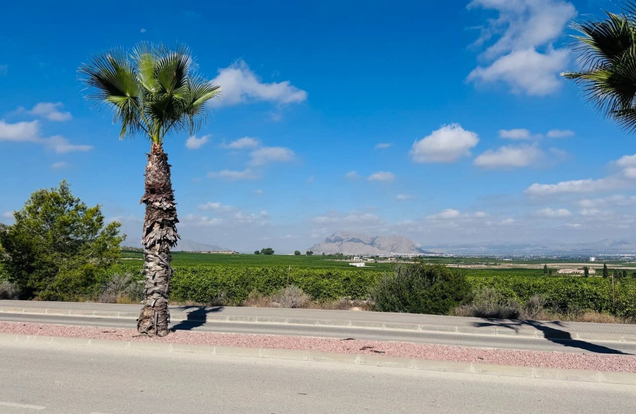 2 Zimmer Apartment zu verkaufen in Algorfa mit Pool - 259.990 € (Ref: 9227748)