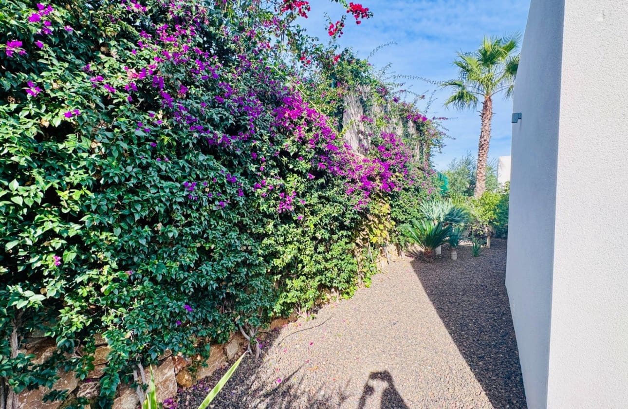 2 Zimmer Villa zu verkaufen in Algorfa mit Pool Garage - 660.000 € (Ref: 9336939)