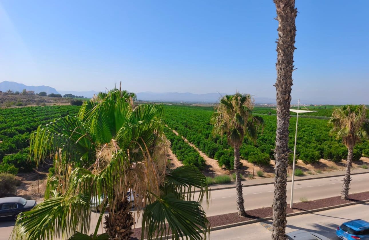 3 quarto Moradia Geminada para venda em Algorfa com piscina - 220 000 € (Ref: 9337290)