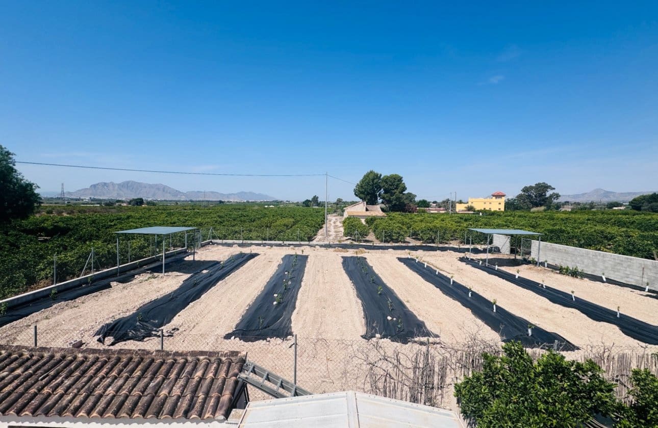 4 Zimmer Finca/Landgut zu verkaufen in Albatera - 345.000 € (Ref: 9877126)