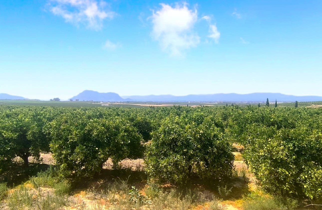 Apartamento de 2 habitaciones en Algorfa en venta con piscina garaje - 259.950 € (Ref: 9894895)