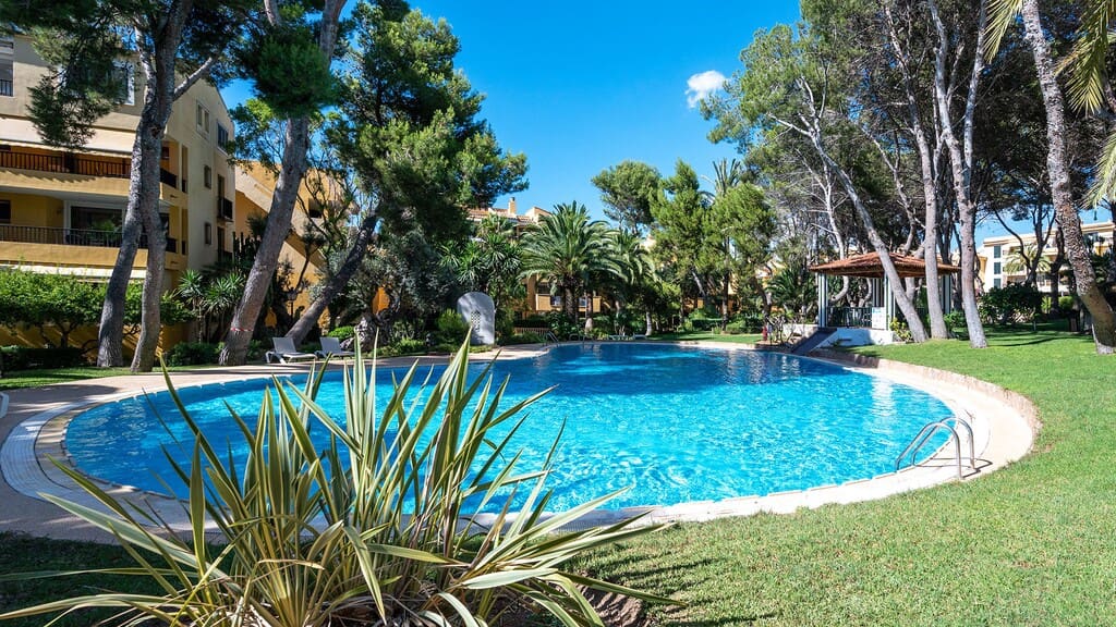 2 makuuhuone Kattohuoneisto vuokrattavana paikassa Santa Ponsa mukana uima-altaan - 3 500 € (Ref: 10085654)