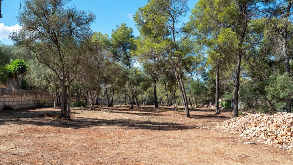 2 sypialnia Finka/Dom wiejski na sprzedaż w Son Gual - 650 000 € (Ref: 10085655)