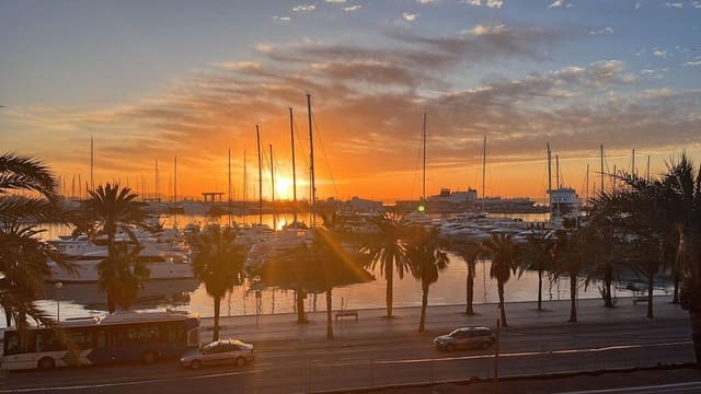 1 bedroom Apartment for rent in Palma de Mallorca - € 2,000 (Ref: 10186412)