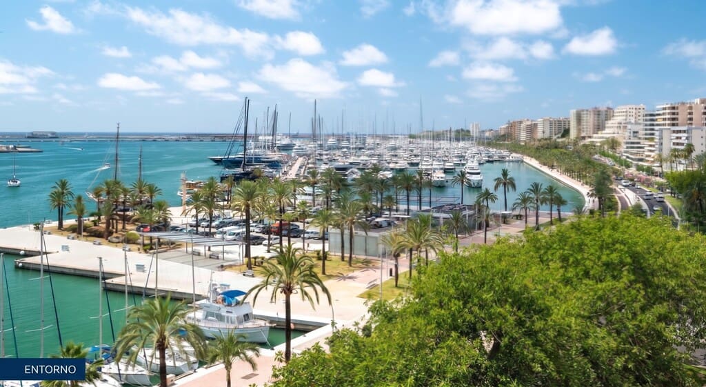 Apartamento de 1 habitación en Palma de Mallorca en alquiler - 2.000 € (Ref: 10186412)