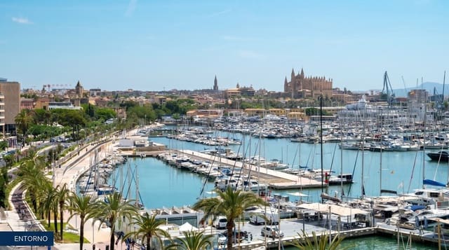 1 bedroom Apartment for rent in Palma de Mallorca - € 2,000 (Ref: 10186412)