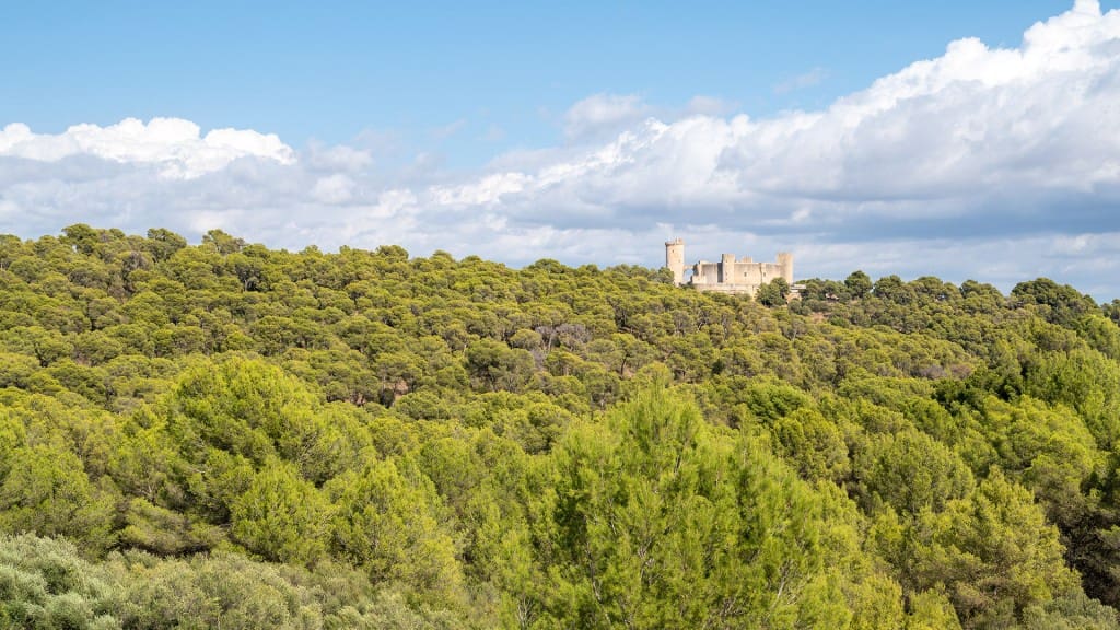 2 soverom Penthouse til salgs i Palma de Mallorca med svømmebasseng - € 882 000 (Ref: 7371670)