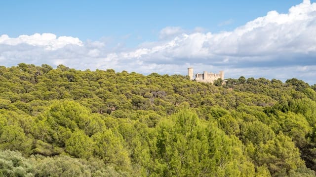 2 slaapkamer Penthouse te koop in La Bonanova, Palma de Mallorca met zwembad - € 882.000 (Ref: 7371670)