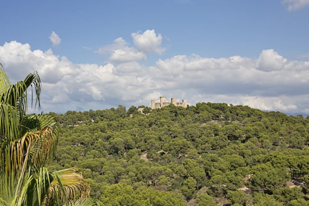 3 soveværelse Lejlighed til salg i Palma de Mallorca med swimmingpool - € 1.550.000 (Ref: 7371790)