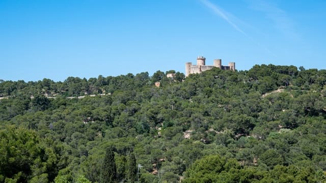 3 soveværelse Lejlighed til salg i La Bonanova, Palma de Mallorca med swimmingpool - € 1.550.000 (Ref: 7371790)