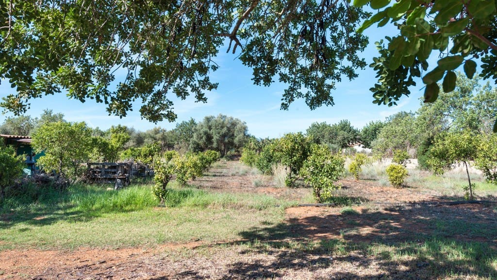 5 chambre Finca/Maison de Campagne à vendre à Bunyola avec piscine - 1 300 000 € (Ref: 7371864)