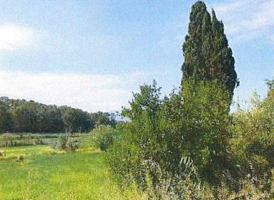 Grunde uden byggetilladelser til salg i Muro - € 700.000 (Ref: 7371885)