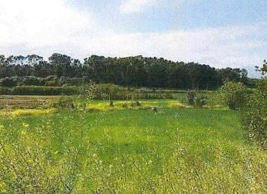 Grunde uden byggetilladelser til salg i Muro - € 700.000 (Ref: 7371885)