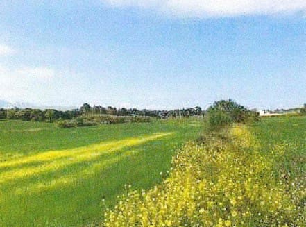 Grunde uden byggetilladelser til salg i Muro - € 700.000 (Ref: 7371885)