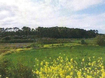 Grunde uden byggetilladelser til salg i Muro - € 700.000 (Ref: 7371885)