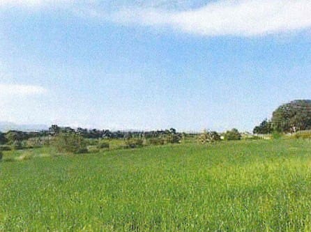 Grunde uden byggetilladelser til salg i Muro - € 700.000 (Ref: 7371885)