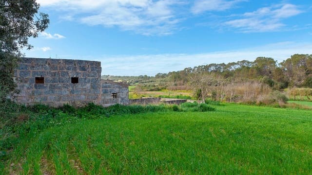 Mark till salu i Muro - 700 000 € (Ref: 7371885)