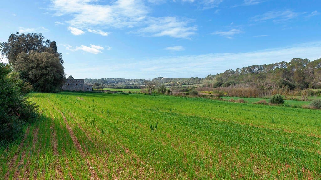 Grunde uden byggetilladelser til salg i Muro - € 700.000 (Ref: 7371885)