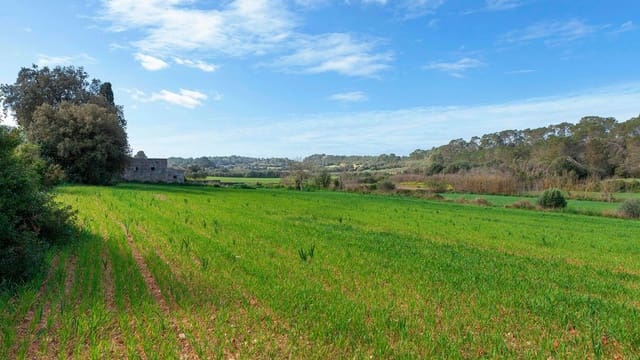 Mark till salu i Muro - 700 000 € (Ref: 7371885)