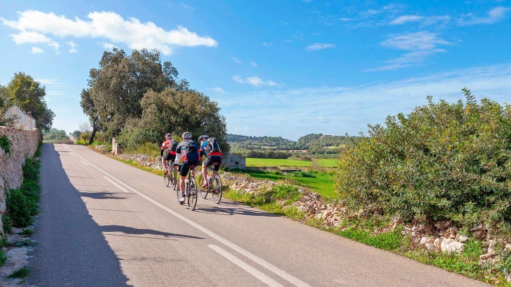 Grunde uden byggetilladelser til salg i Muro - € 700.000 (Ref: 7371885)