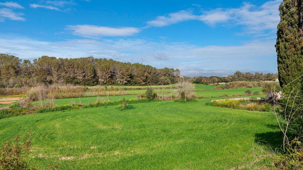 Grunde uden byggetilladelser til salg i Muro - € 700.000 (Ref: 7371885)