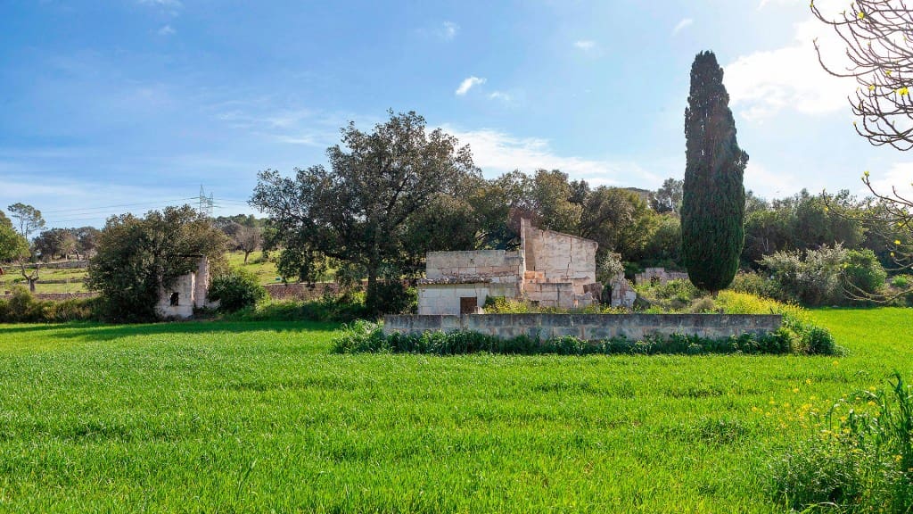 Grunde uden byggetilladelser til salg i Muro - € 700.000 (Ref: 7371885)