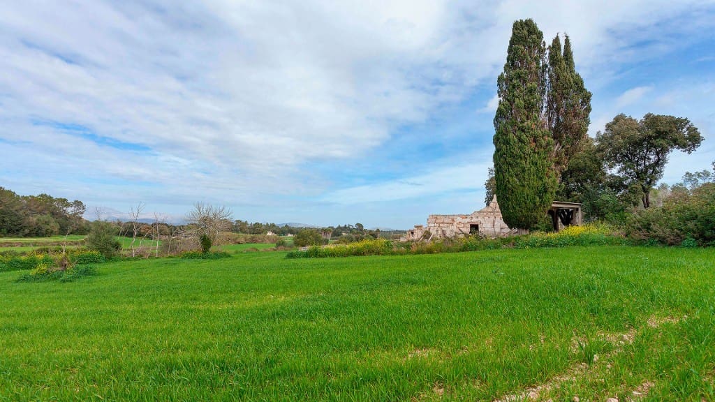 Grunde uden byggetilladelser til salg i Muro - € 700.000 (Ref: 7371885)