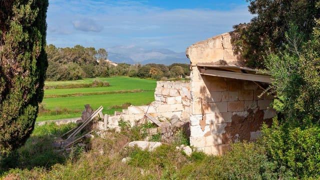 Mark till salu i Muro - 700 000 € (Ref: 7371885)