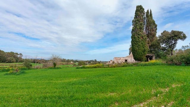 Mark till salu i Muro - 700 000 € (Ref: 7371885)