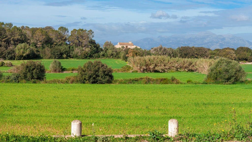 Grunde uden byggetilladelser til salg i Muro - € 700.000 (Ref: 7371885)