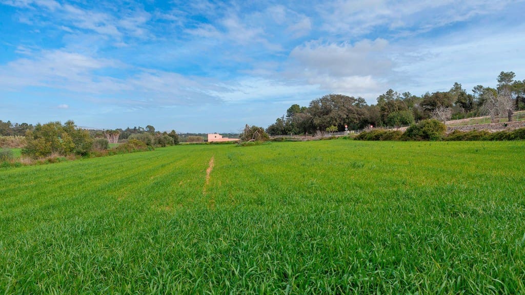 Grunde uden byggetilladelser til salg i Muro - € 700.000 (Ref: 7371885)