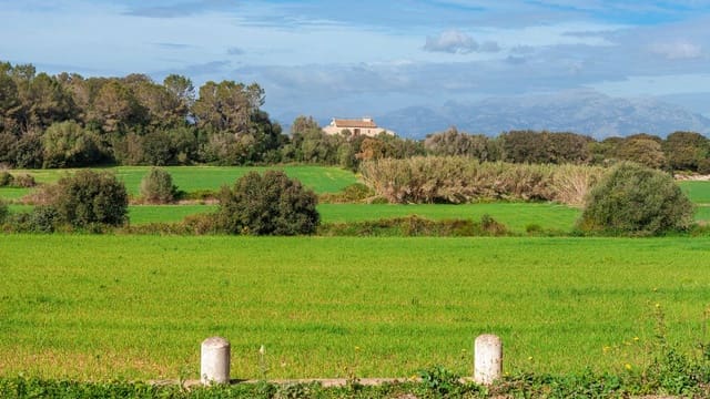 Terreno Não Urbanizado para venda em Muro - 700 000 € (Ref: 7371885)