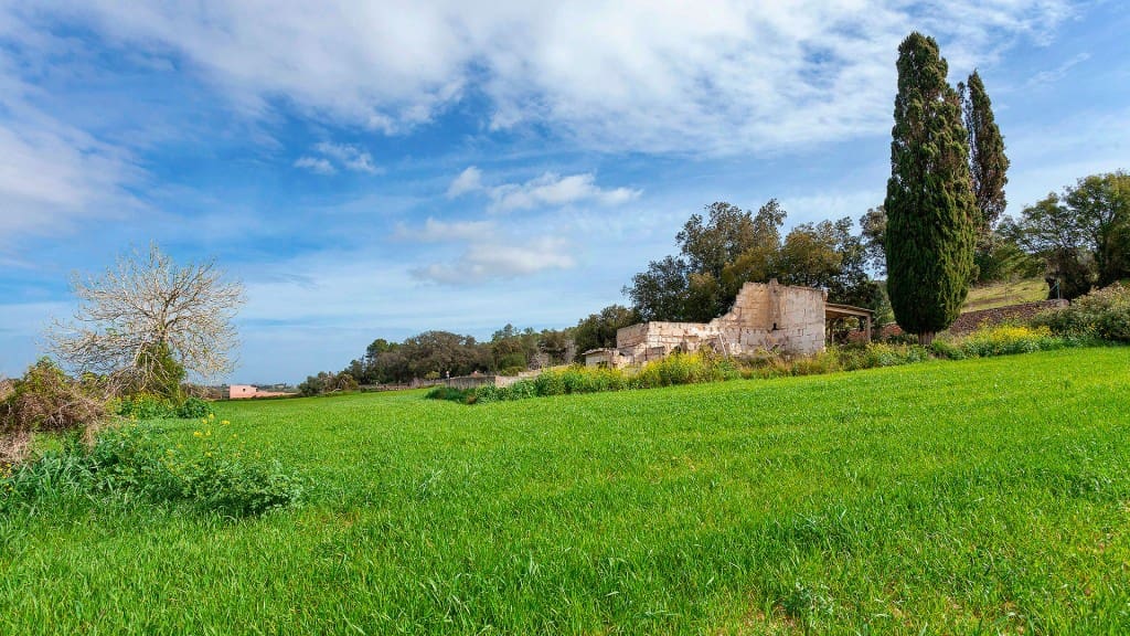 Grunde uden byggetilladelser til salg i Muro - € 700.000 (Ref: 7371885)