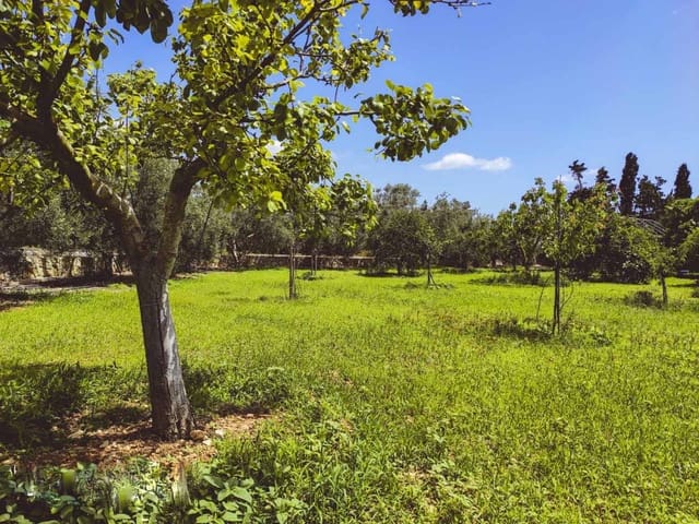 4 slaapkamer Finca/Landhuis te koop in Marratxí met zwembad - € 2.035.000 (Ref: 7371888)