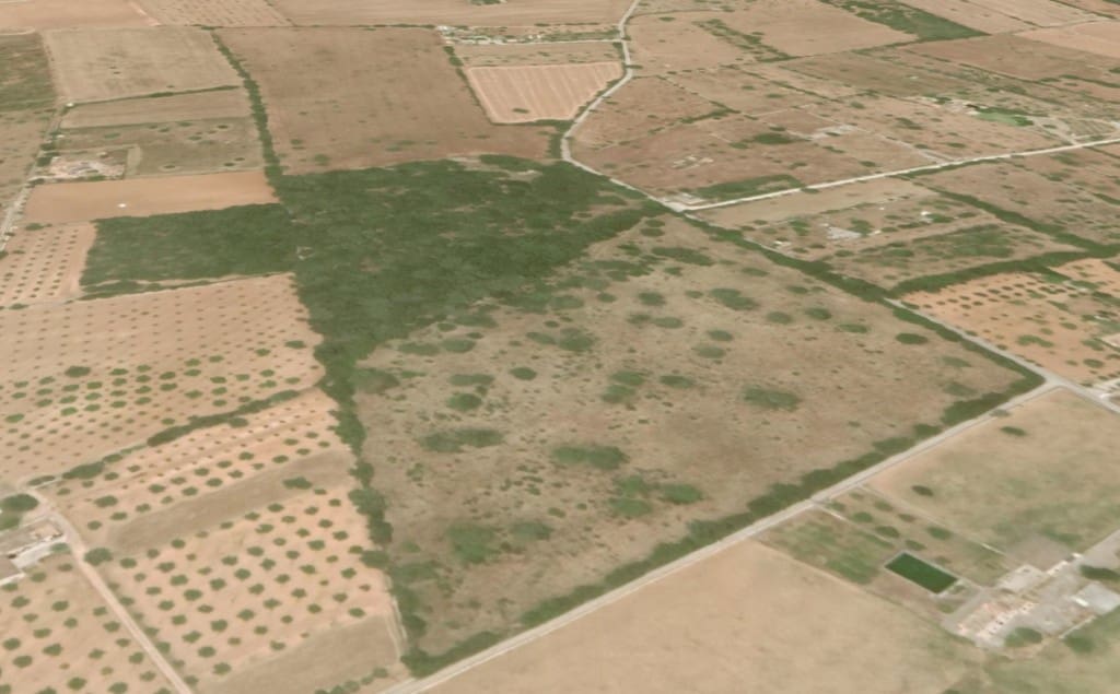 Mark till salu i Inca - 600 000 € (Ref: 7371895)