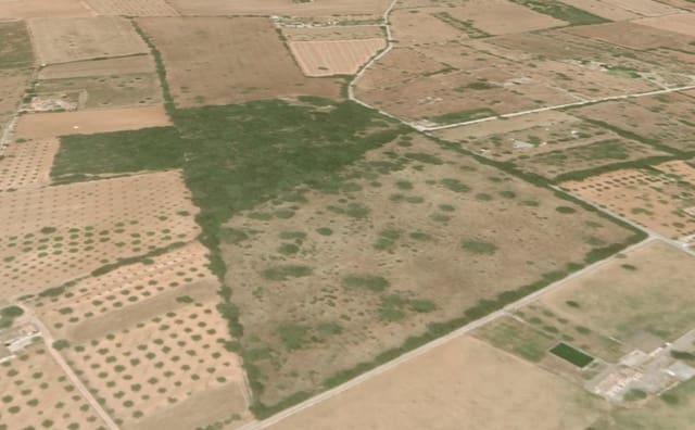 Mark till salu i Inca - 600 000 € (Ref: 7371895)