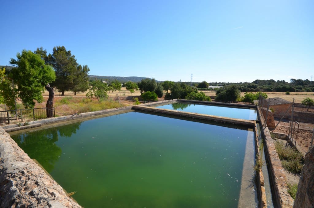 5 sypialnia Finka/Dom wiejski na sprzedaż w Palma de Mallorca - 2 665 000 € (Ref: 7371901)