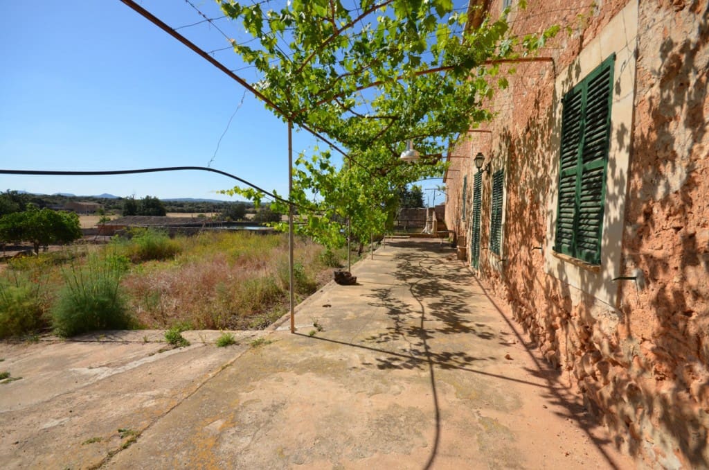 5 sypialnia Finka/Dom wiejski na sprzedaż w Palma de Mallorca - 2 665 000 € (Ref: 7371901)